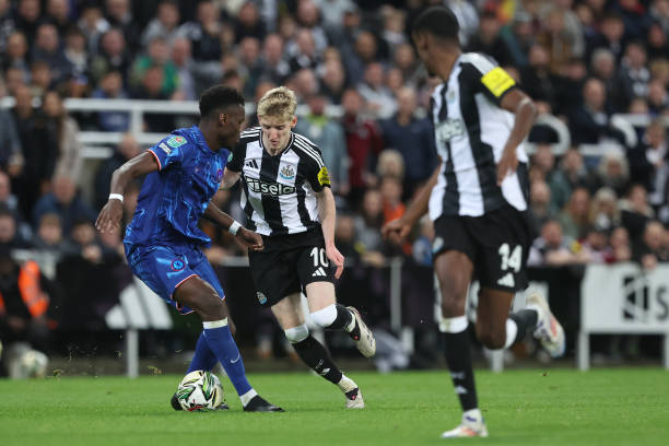 投入的人力 投入的人力